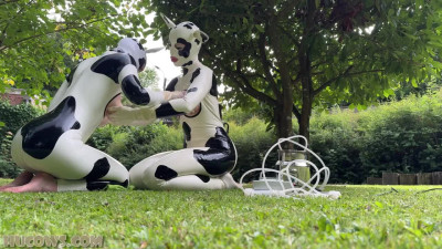 HuCows Anclla And Miss Fetilicious Latex Hucows Outdoors FETiSH