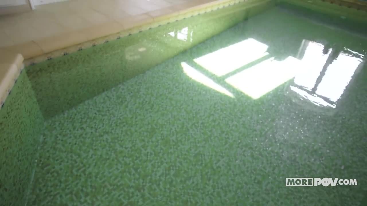 MorePOV Alyssa Bounty Catching A Catburglar WRB - Porn video | ePornXXX
