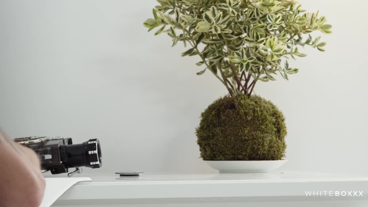 TheWhiteBo Kaisa Nord WRB - Porn video | ePornXXX