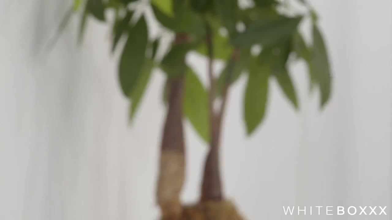 TheWhiteBo Ariana Shine WRB - Porn video | ePornXXX