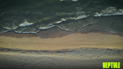 ReptyleLabs Charlie Forde Unfiltered WRB