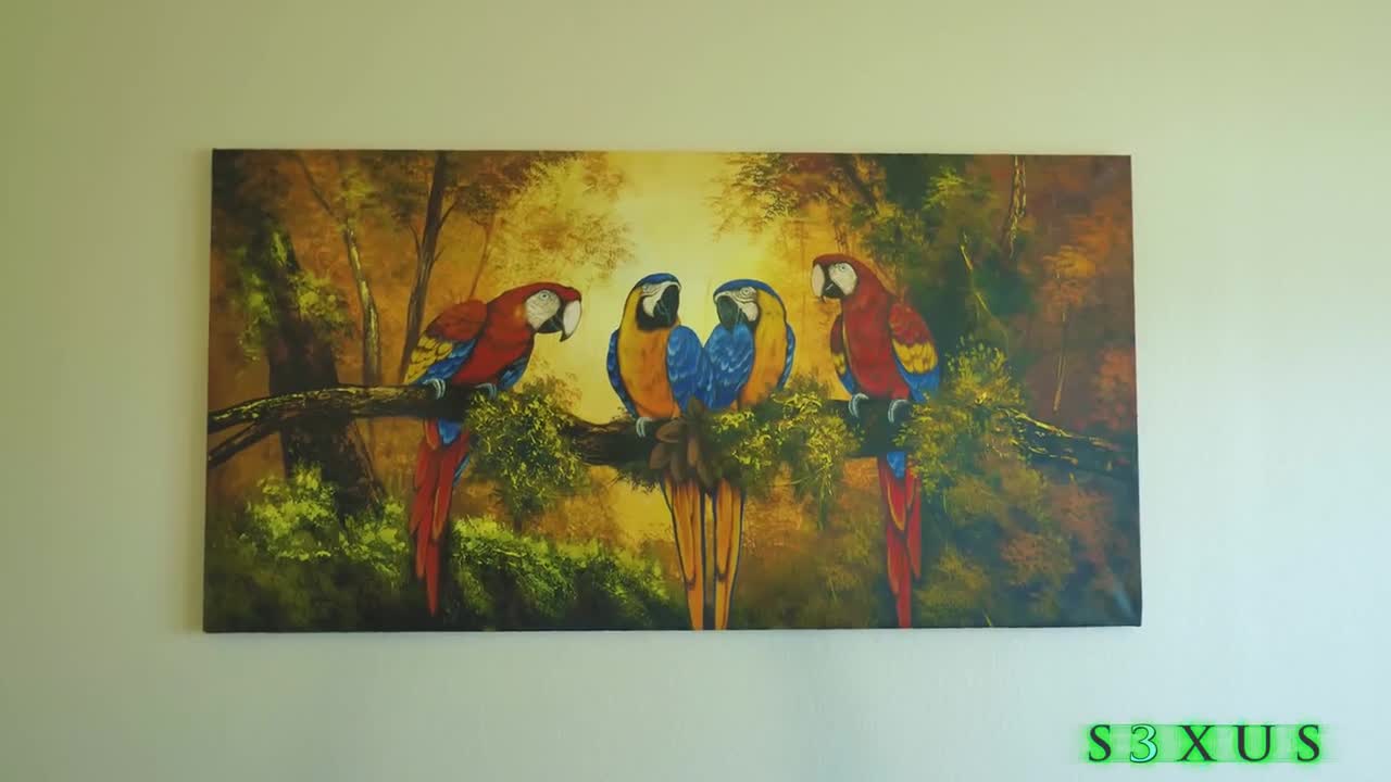 SXUS Ivy Ireland Escalate WRB - Porn video | ePornXXX