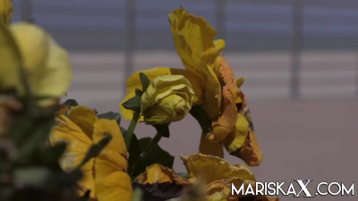 MariskaX Rose Delight Showing My Pussy To A Stranger LEWD